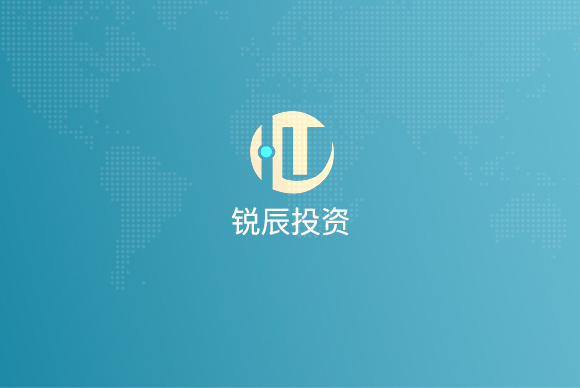 天津锐辰投资有限公司网站设计 