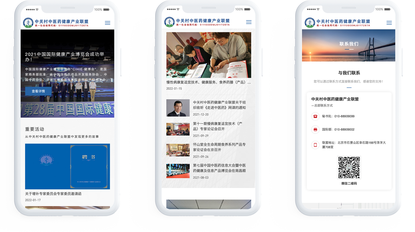 中医药集团网站制作